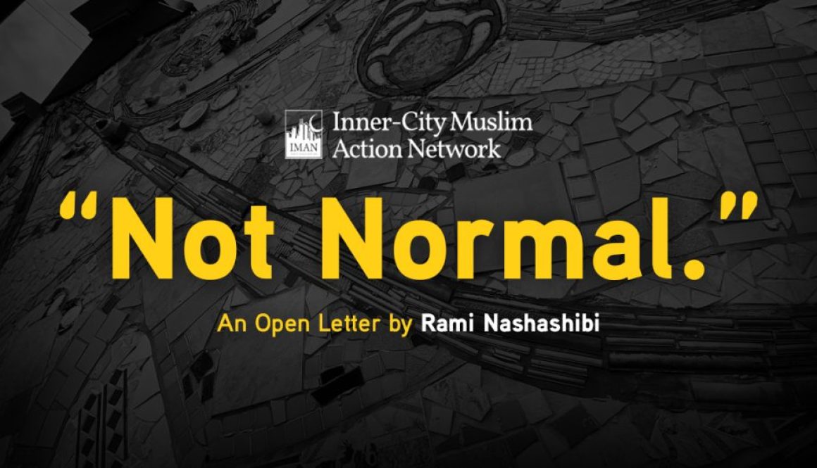 Not Normal by Rami Nashashibi